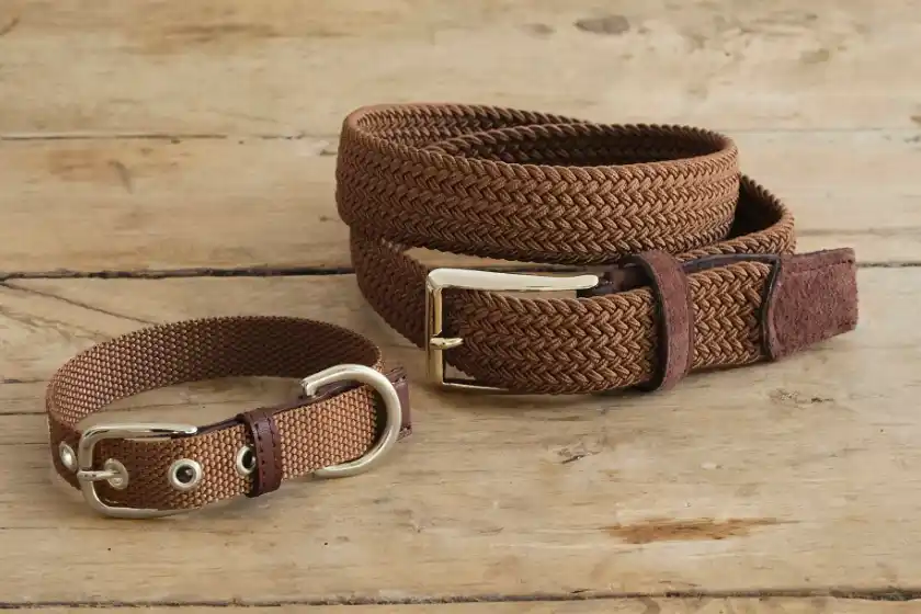 ベルトイメージ