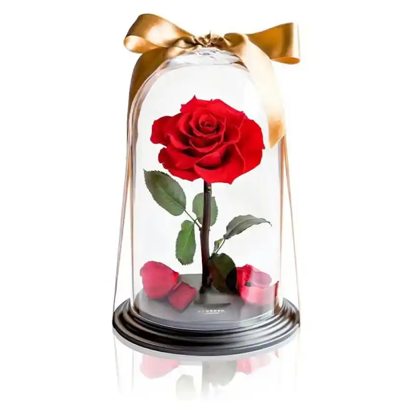 デスティニーローズ(1本立ち)