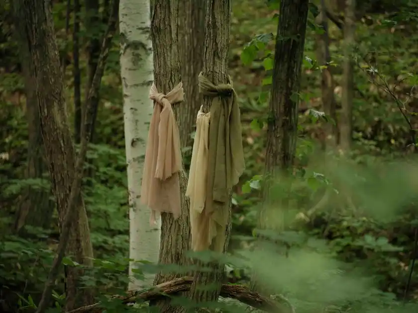 『森染めショール』山桜・白樺・よもぎ染め