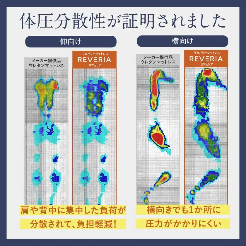 仰向け、横向き、どんな姿勢でも圧を分散！睡眠中のカラダの負担を軽減