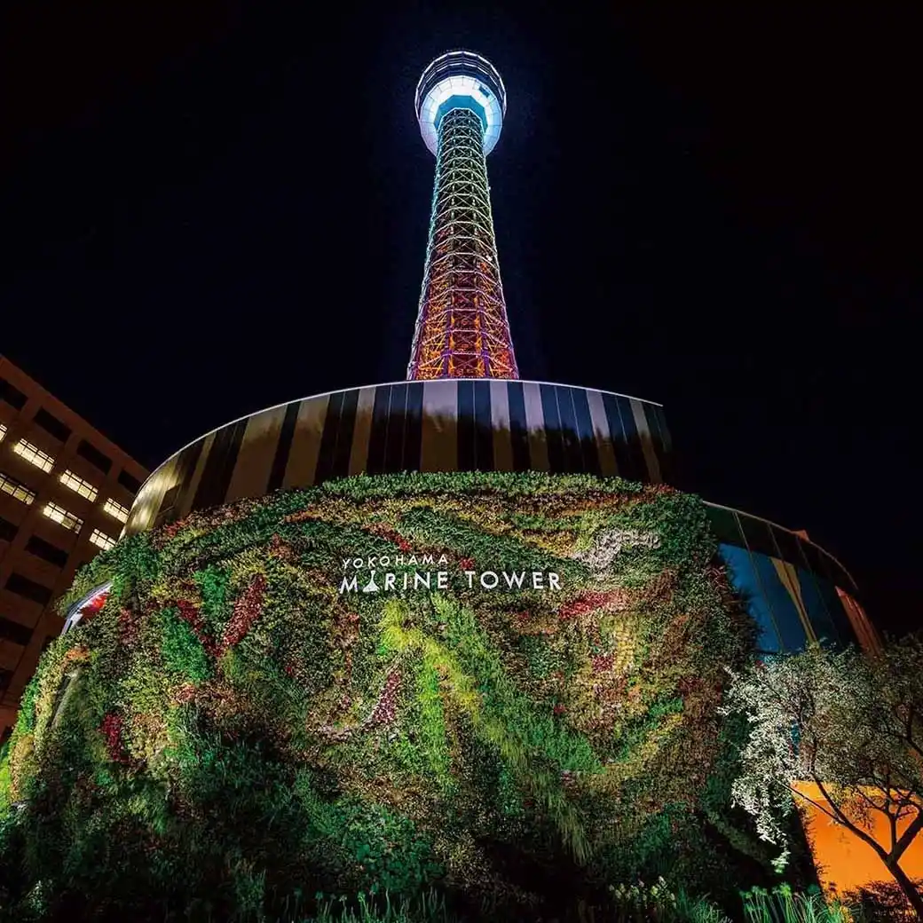 2026年 そごう横浜店 福袋情報