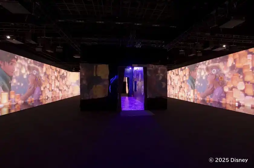 写真は大阪会場