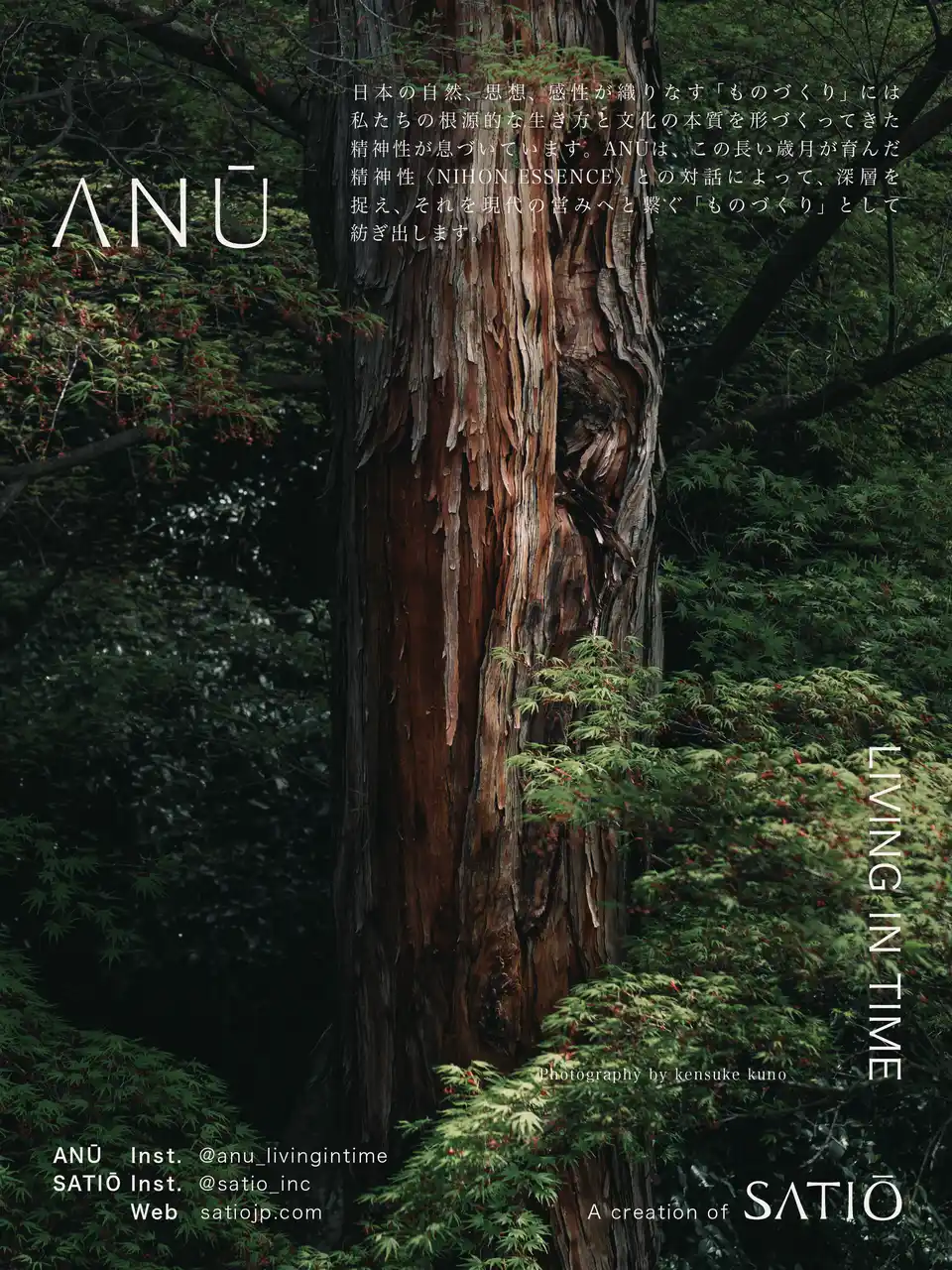 『ANŪ』始動――自然と人の共生を形にする「ものづくり」の場