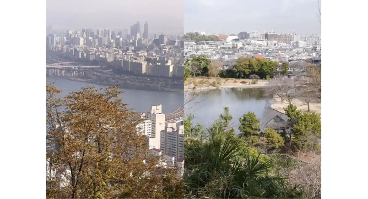 横浜ゆかりのアーティストが読み解く“原三溪”「アーティストとひらく 鎌田友介展：ある想像力、ふたつの土地」