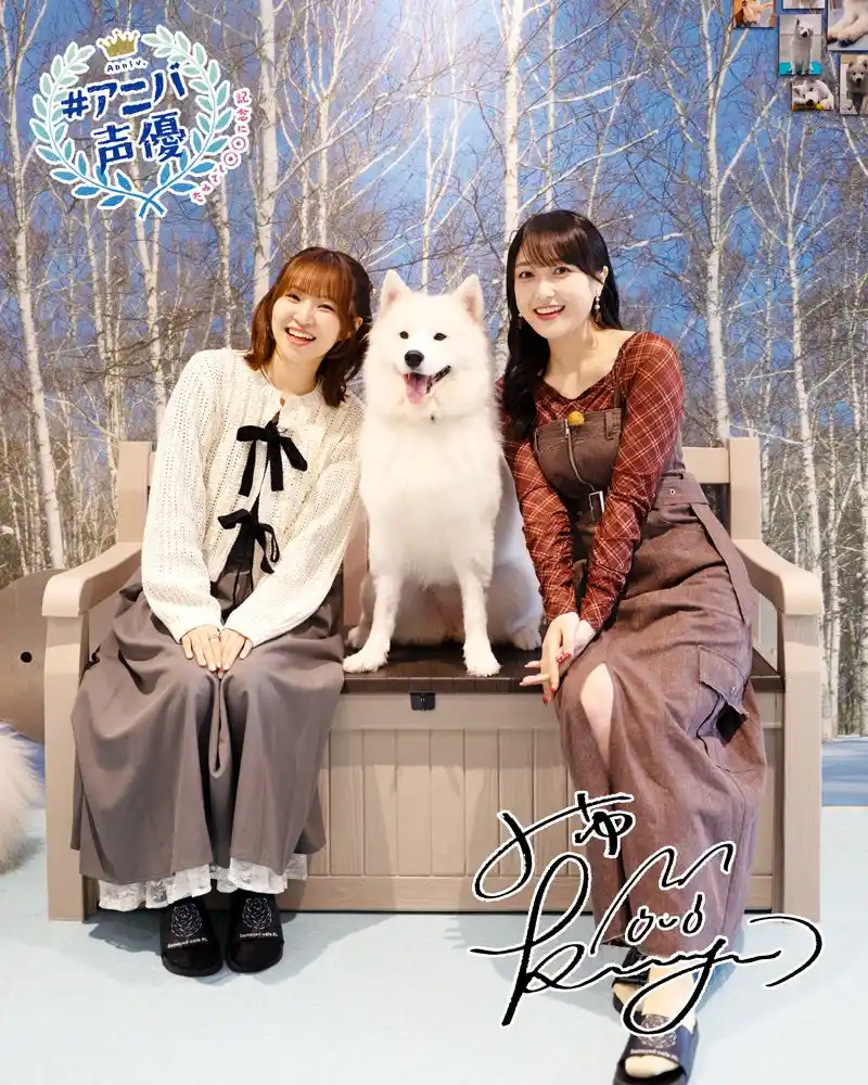 【テレビ東京グループ】 “アニバ声優”久保田未夢の“願い”を叶える！村上奈津実とともに行く、サモエドカフェ＆キックボクシング体験！？
