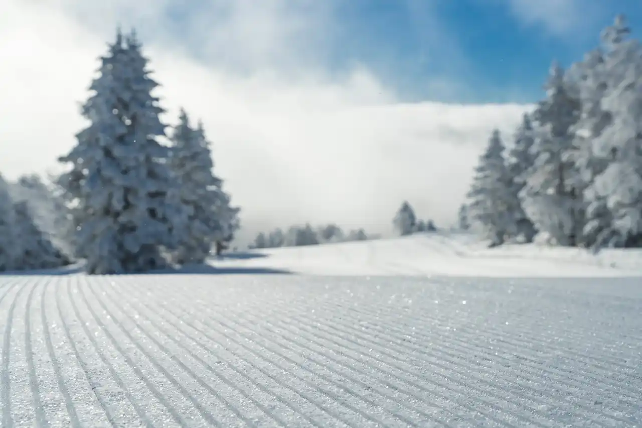 【株式会社西武・プリンスホテルズワールドワイド】 【志賀高原プリンスホテル・志賀高原 焼額山スキー場】極上の雪質、極上の圧雪技術による最高のゲレンデを体験、いつまでも記憶に残り続ける「人生最高の一本」を販売