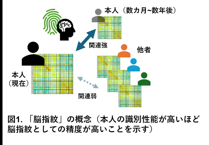 【国立大学法人千葉大学】 うつ病患者の脳内ネットワークにおける「独自性」の低下を発見～個人の脳の「指紋」を指標とした新たな客観的診断法の開発に期待～