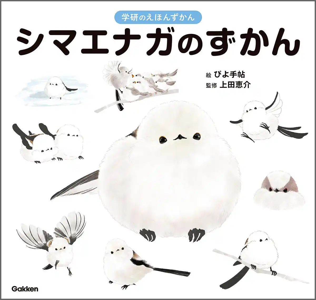 【シマエナガ好きに朗報！】1冊まるごとシマエナガ！　可愛すぎる『シマエナガのずかん』予約受付中！