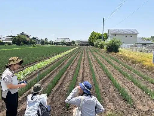 【アクプランタ株式会社】 【茨城】茨城県農業改良普及センターが長ネギでスキーポンの実証試験を開始