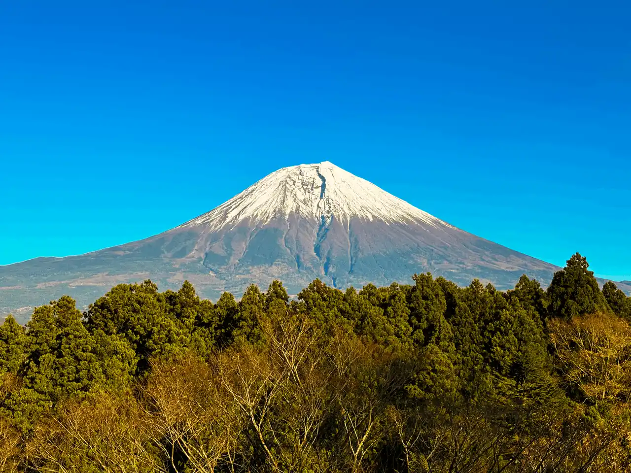 静岡・富士宮に富士山一望の絶景一棟貸し宿泊施設「なか富士」がOPEN！20%OFFキャンペーン実施中