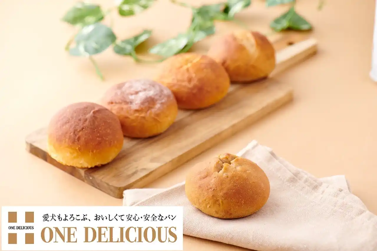 【Bread＆Dogs株式会社】 日本最大のペット見本市「インターペット2026」に出展。愛犬と飼い主が一緒に食べられる安心安全な塩分控えめのパン「ワンデリシャス」を販売。新商品グルテンフリーパンも初登場。