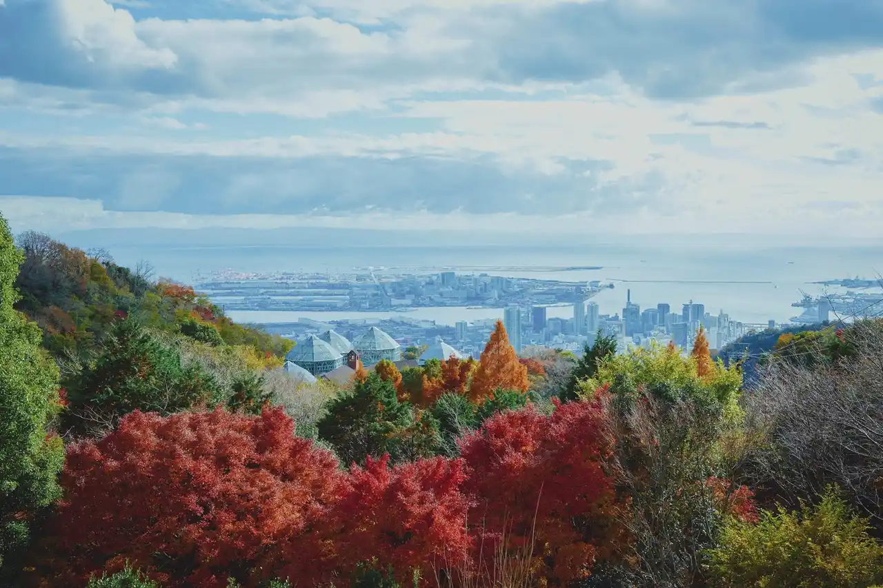 【神戸布引ハーブ園／ロープウェイ】神戸の紅葉の名所「布引の紅葉」が見ごろです。秋色に彩るガーデンと紅葉が調和した情景や、ロープウェイの車窓から眺める壮大な景色を楽しめます。ライトアップされた紅葉と神戸の景色は新しい名所となっています。