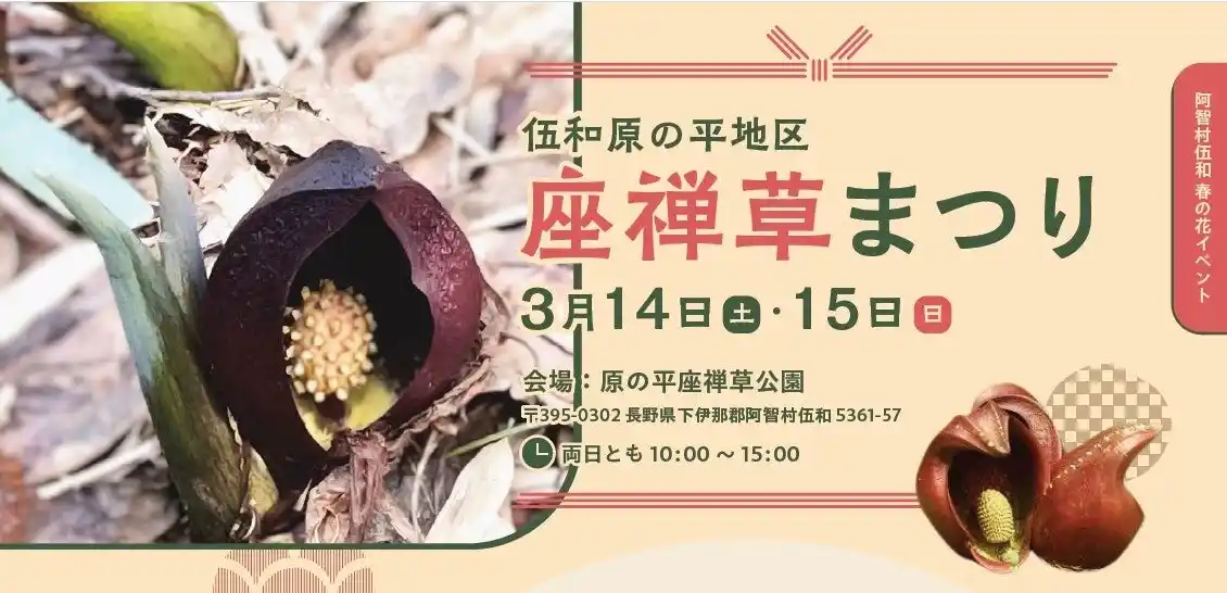 【日本一の星空】長野県阿智村　伍和 原の平座禅草公園にて「原の平地区座禅草まつり」開催