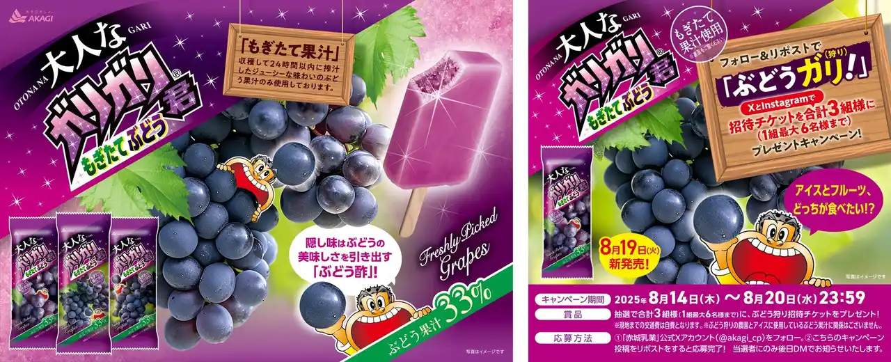 【赤城乳業株式会社】 収穫して24時間以内に搾汁した、ジューシーなぶどう果汁のみを33%使用！ 残暑や秋の始まりに、ぴったりの本格的な美味しさ！ 合計3組様（1組最大6名様まで）を山梨県甲州市勝沼町のぶどう狩りにご招待♪
