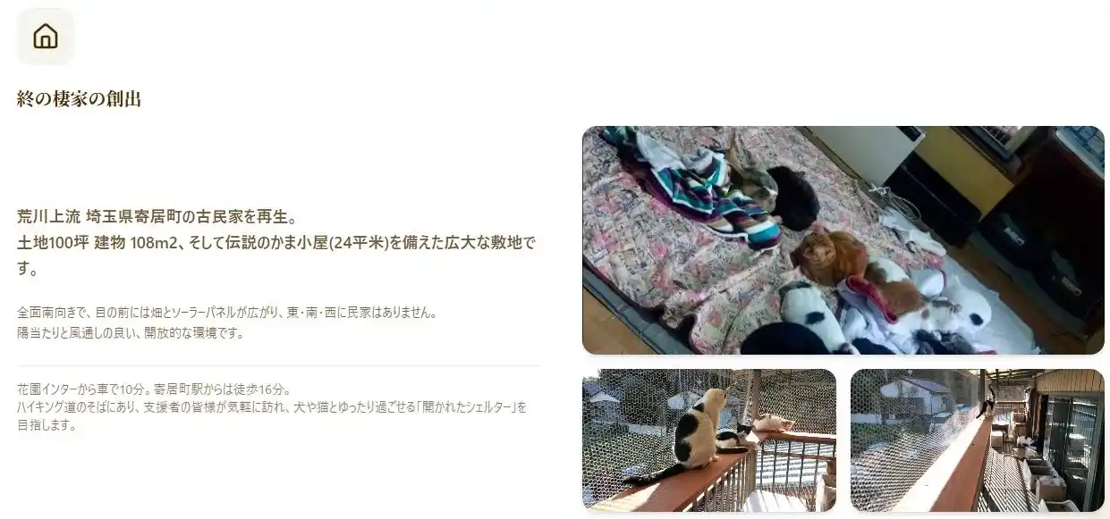 【NPO法人しっぽの約束】 『最期まで、安心して生きる場所を』- 高齢犬猫のための居場所づくりプロジェクト始動