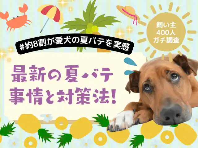 【株式会社エイト】 【飼い主400人に調査】今年の猛暑で8割の犬が体調不良に！体調変化から見えた“夏バテ対策のリアル”とは