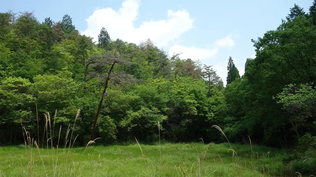 【NACS-J】 マイクロソフトの支援を受けて大阪能勢町でネイチャーポジティブに向けた新たな活動を始動