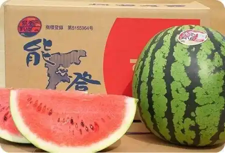 【川崎市】 能登半島地震の寄附金を活用して学校給食で、能登の食材を提供します！