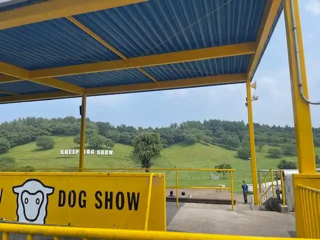 【株式会社コモチ】 過酷な夏に牧羊犬として働くワンちゃんへプレゼント第一弾