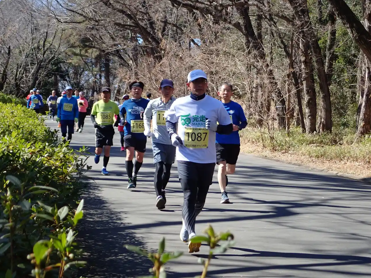 『第51回 完走マラソン大会』募集締め切り迫る！（国営武蔵丘陵森林公園）