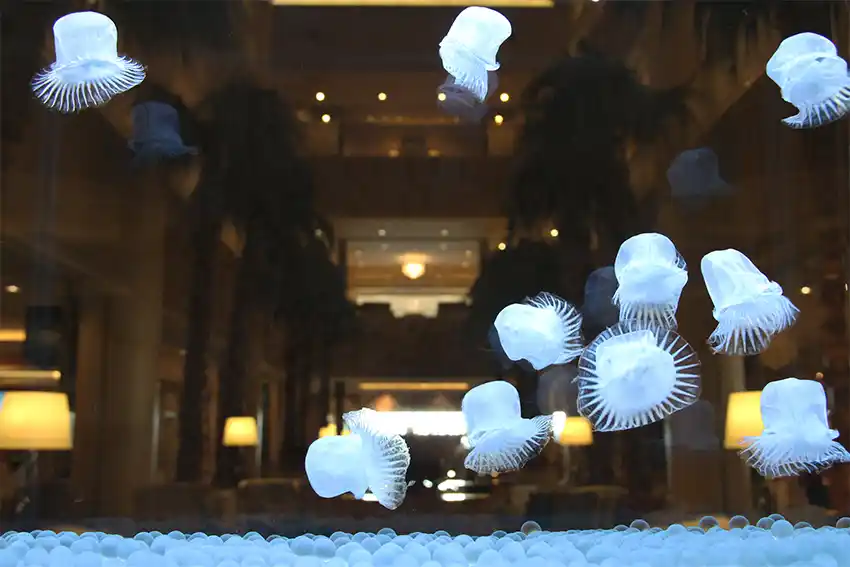 IMG_8134 - コピー.jpg