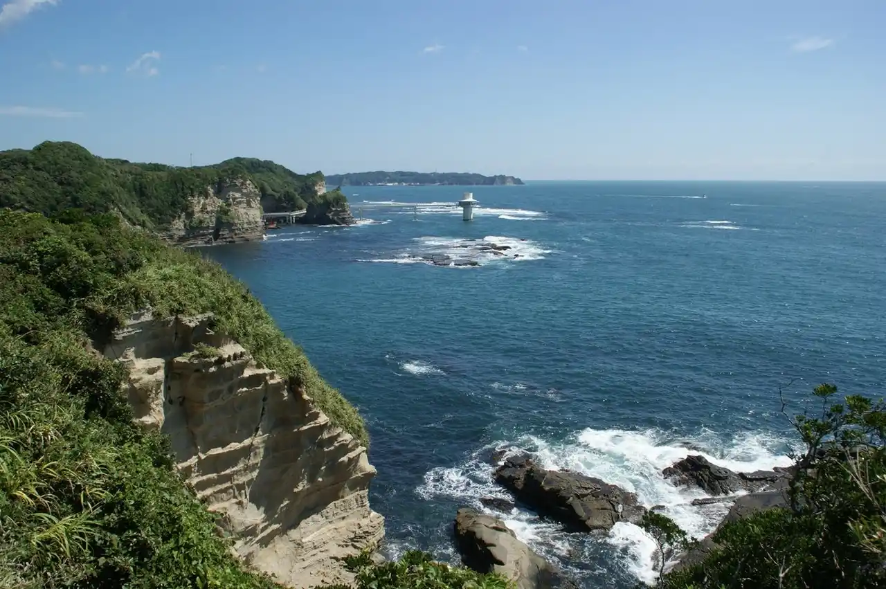 【東急不動産】 ～海洋生態系の回復と地域資源の持続可能な活用を目指して～「勝浦市藻場保全対策協議会」を設置