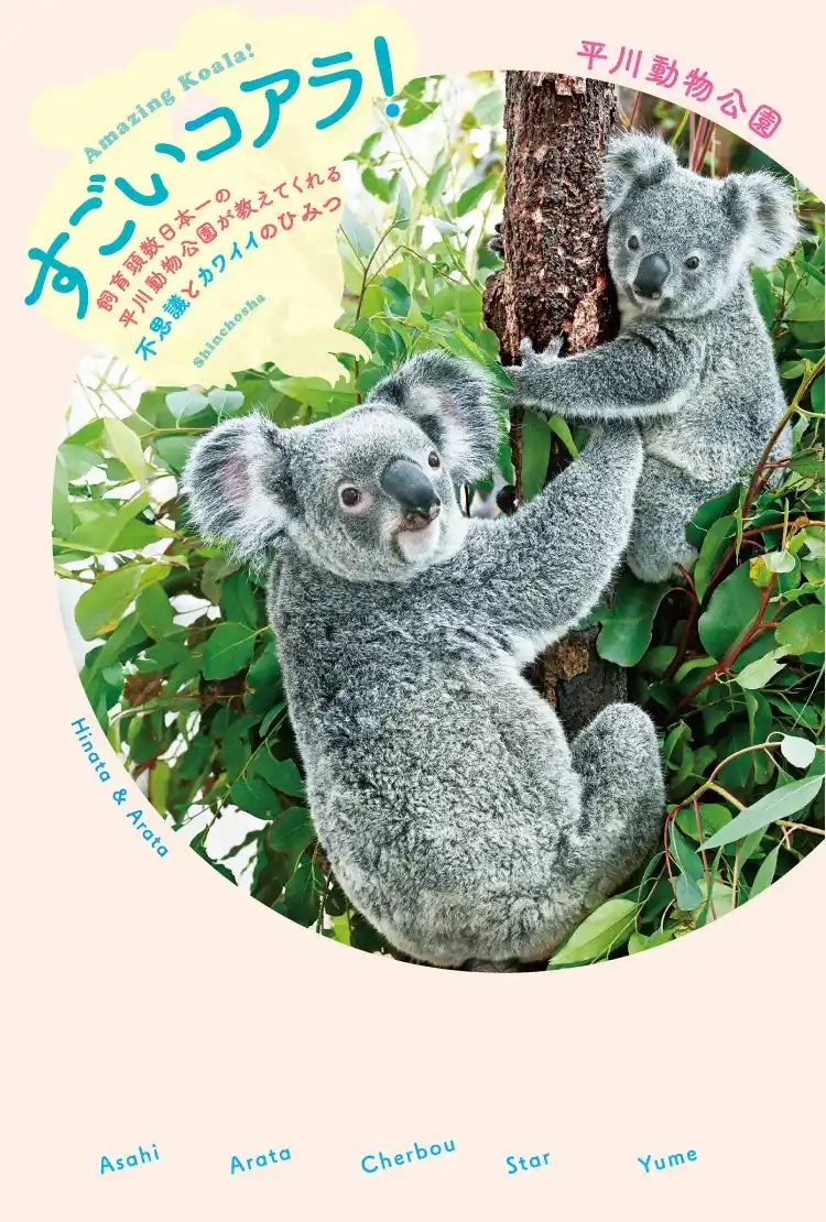 【株式会社新潮社】 【コアラ人気で重版決定！】通算飼育110頭のレジェンド園を取材！『すごいコアラ！　飼育頭数日本一の平川動物公園が教えてくれる不思議とカワイイのひみつ』