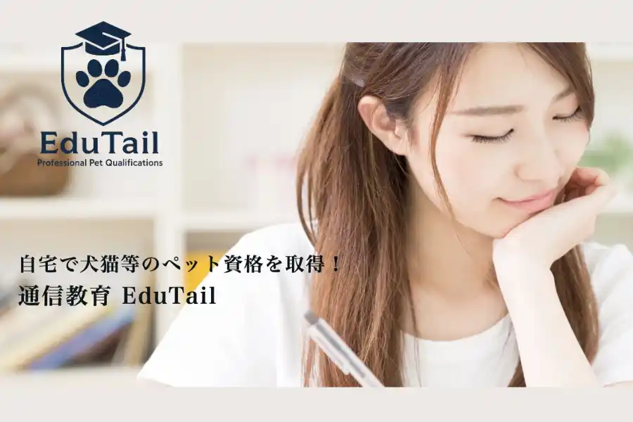 【一般社団法人愛玩動物健康管理協会】 専門性の高い犬猫の栄養学や行動学、介護学を自宅で学べる通信教育「EduTail」公開
