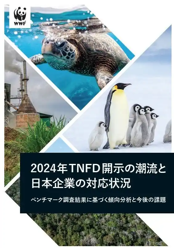 【公益財団法人世界自然保護基金ジャパン】 『2024年TNFD開示の潮流と日本企業の対応状況』を発表　～日本企業65社の開示状況を調査した実践的な参考情報として～