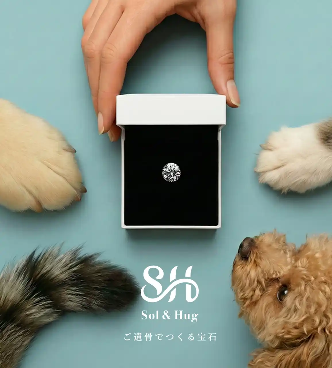 100万円超の高額帯が主流だったご遺骨ジュエリーを“3分の1価格”で手が届く選択肢に