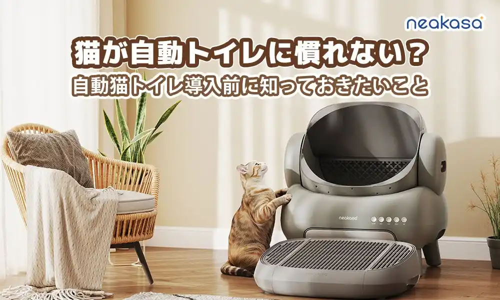 初めての全自動猫トイレ、どうやって慣れさせる？Neakasaが教える3つのステップ～8周年記念キャンペーン開催中！30%OFFで賢くGET～