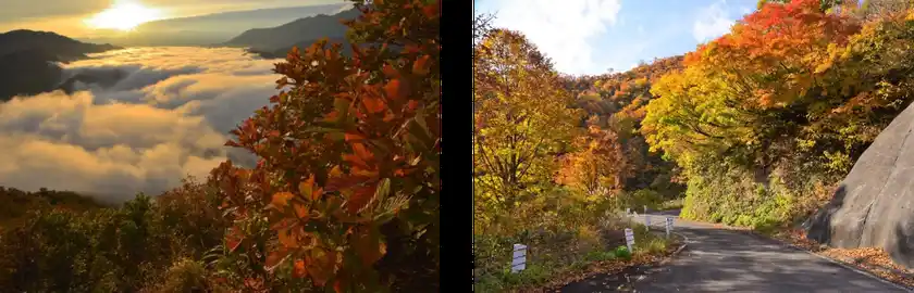 枝折峠