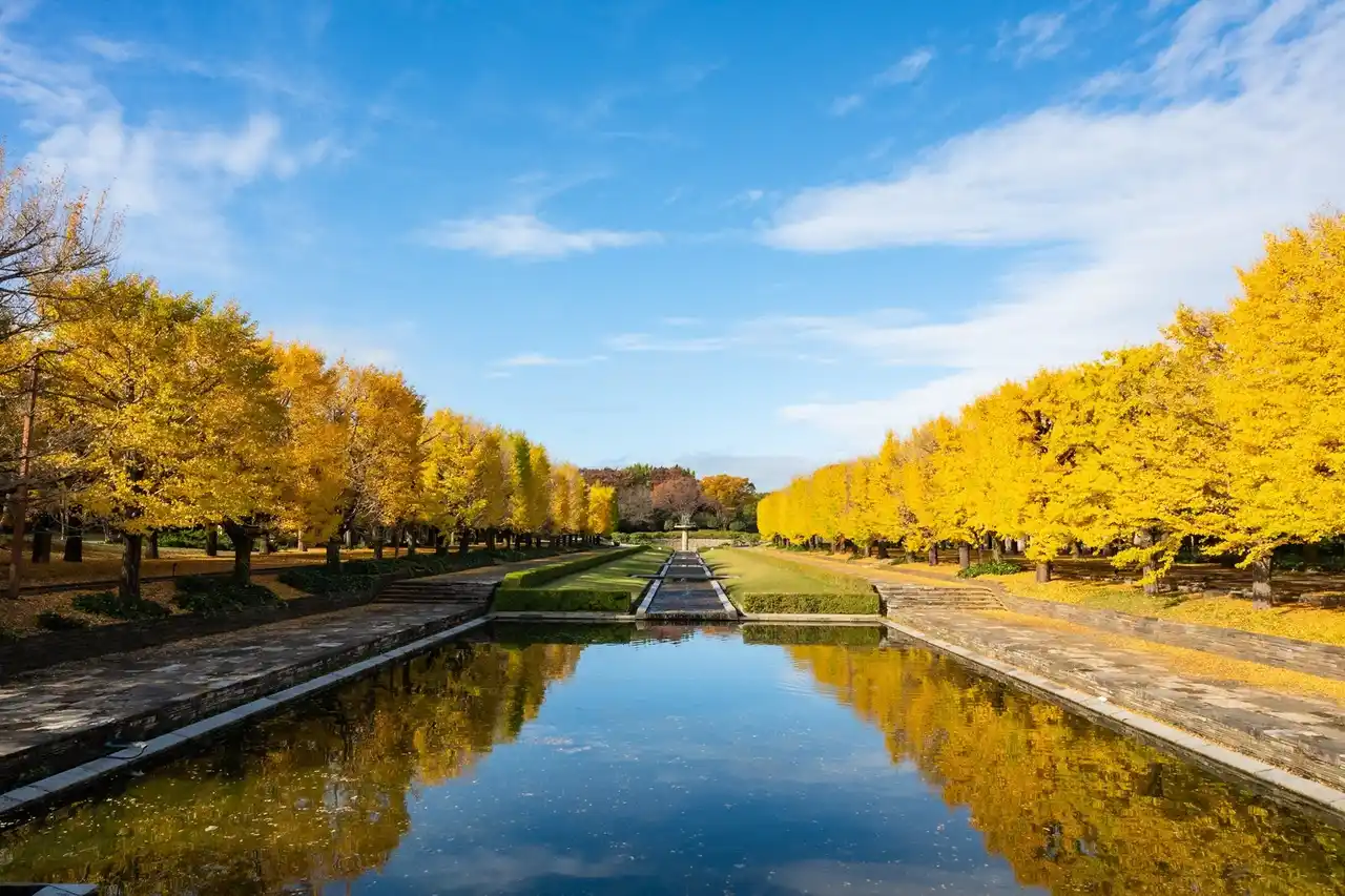 東京都・国営昭和記念公園の設備管理DX実証にスマートゴミ箱「SmaGO」を導入