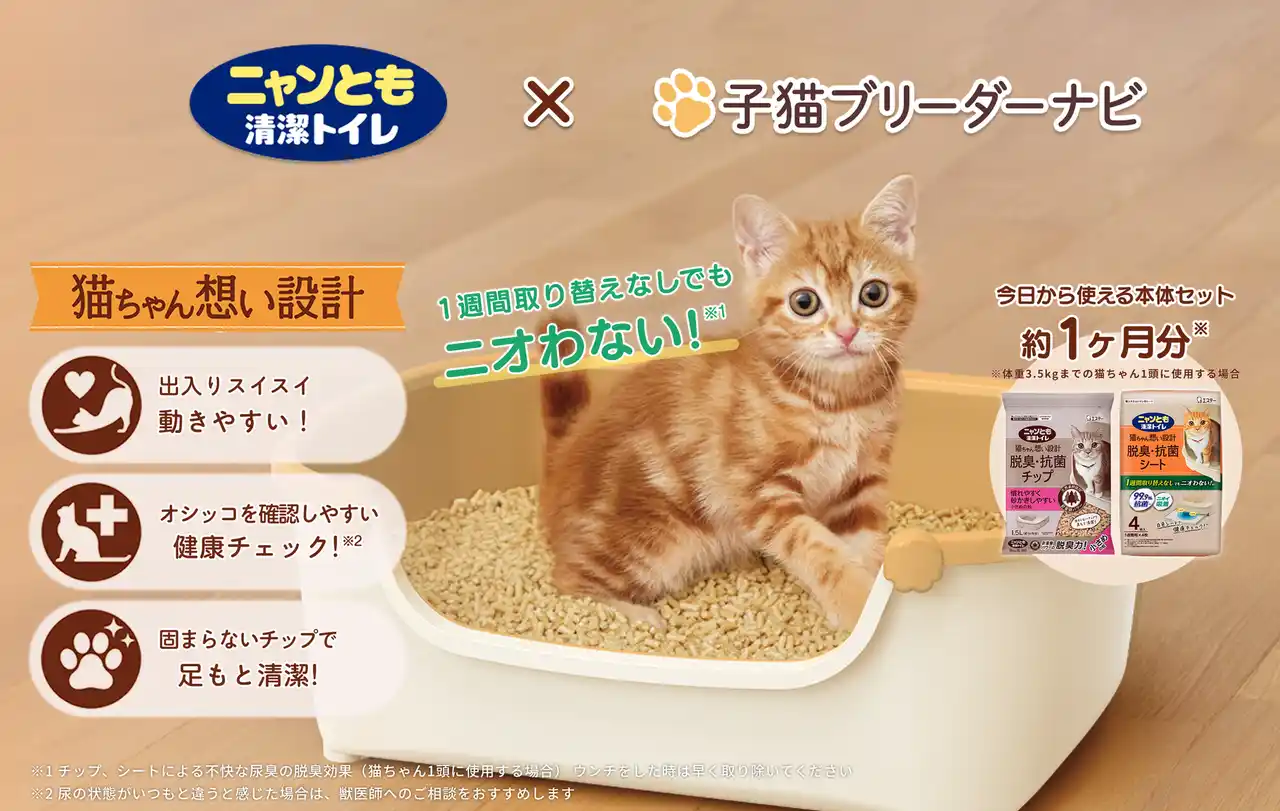 子猫ブリーダーナビ『ニャンとも清潔トイレ すいすいコンパクト（子猫用）』を2025年7月15日より成約特典に追加！