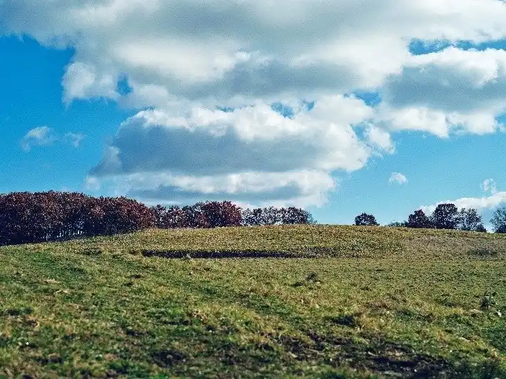 【日鉄興和不動産株式会社】 農業事業に新規参入 「日鉄興和不動産農業株式会社」を設立