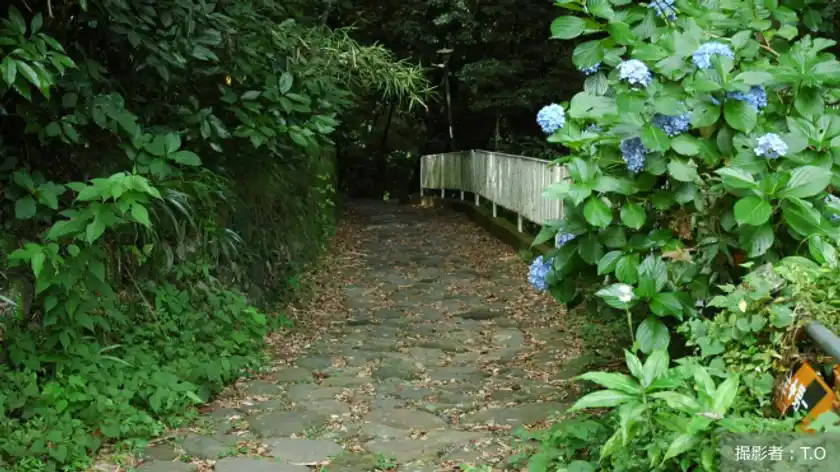 これからの時代の「通行手形」道路を支える石畳と通行ルール