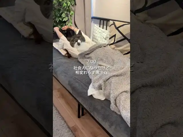 【味の素AGF株式会社】 味の素AGFが、未来のファンである大学生考案の《「ブレンディ(R)」ポーション》シリーズ動画を公式アカウントで公開！