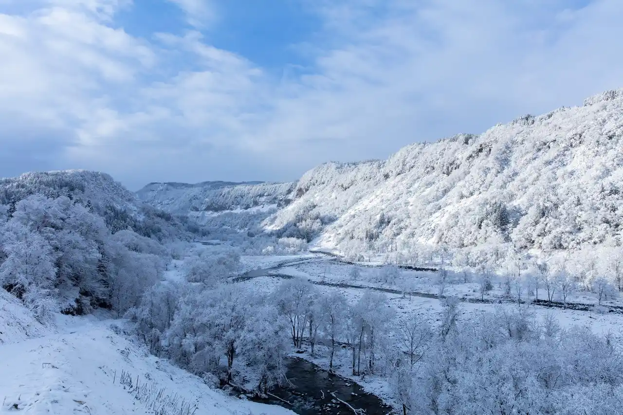 雪と発酵が紡ぐ、白いクリスマス 津南醸造「冬蔵クリスマスフェア 2025」を開催します