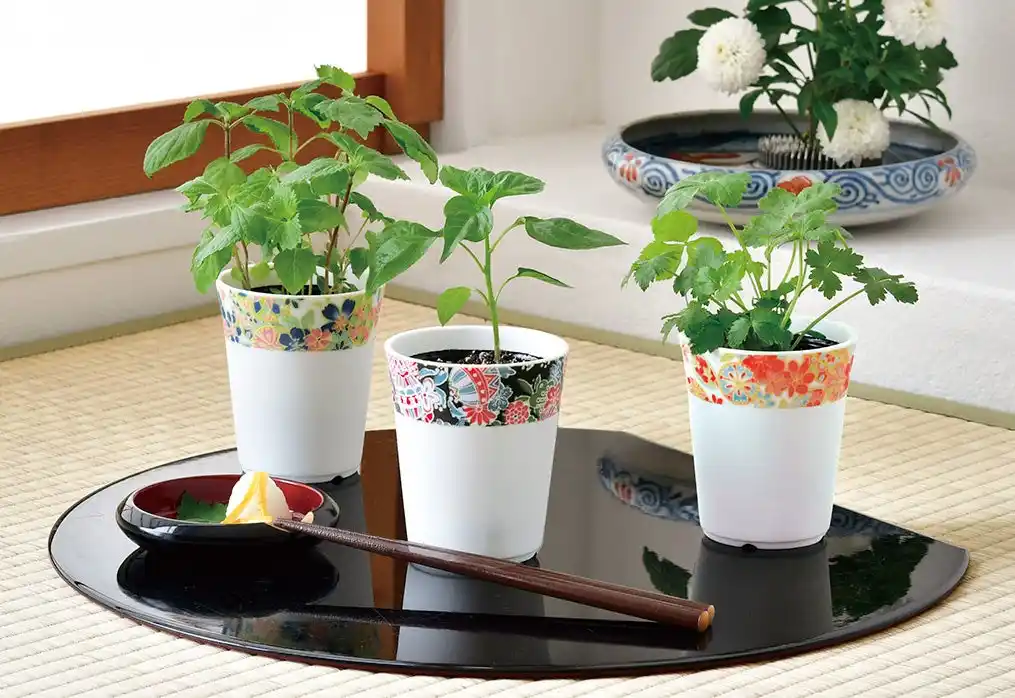 【聖新陶芸株式会社】 友禅柄の器と鞠の縁起モチーフが魅力。和の趣を楽しみながら日本の薬味を育てる栽培キットが新登場。