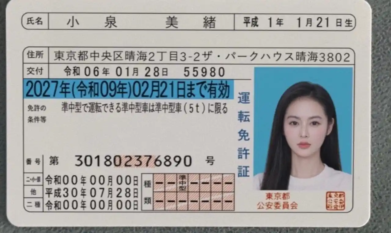 【株式会社ニューネクスト】 ロマンス詐欺被害者の２０２６年版新実例集 - 心に響く注意喚起のために
