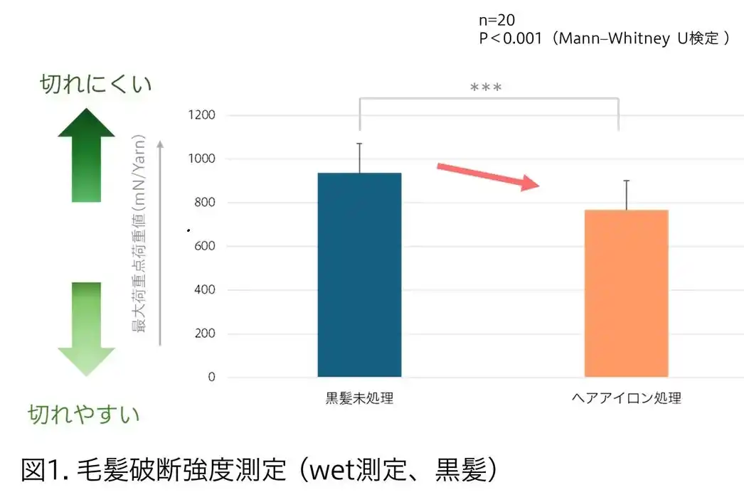 マンダム、レブリン酸による毛髪補修メカニズムを解明