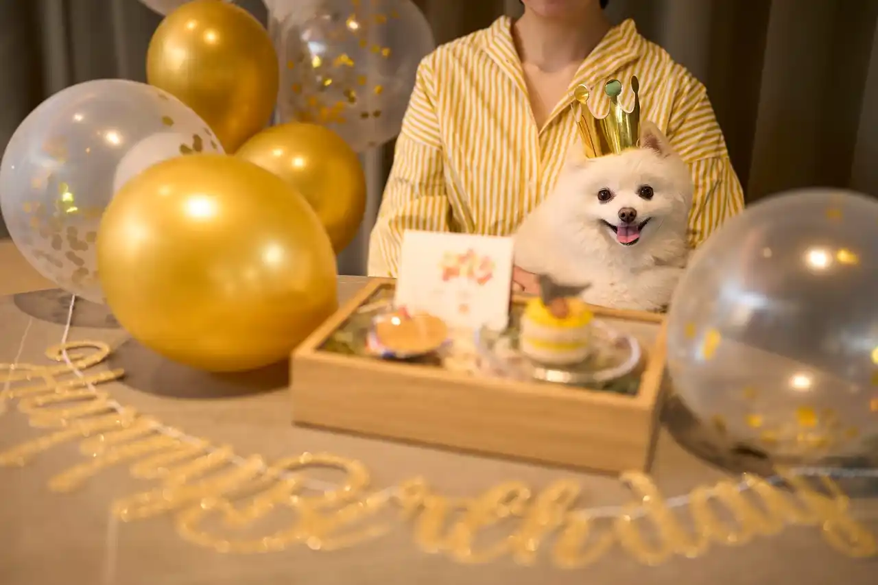 【リソルの森株式会社】 1日2組限定・お部屋のデコレーション＆ケーキを無料でご案内！愛犬と泊まれる宿「Dear Wan Spa Garden」初春キャンペーン