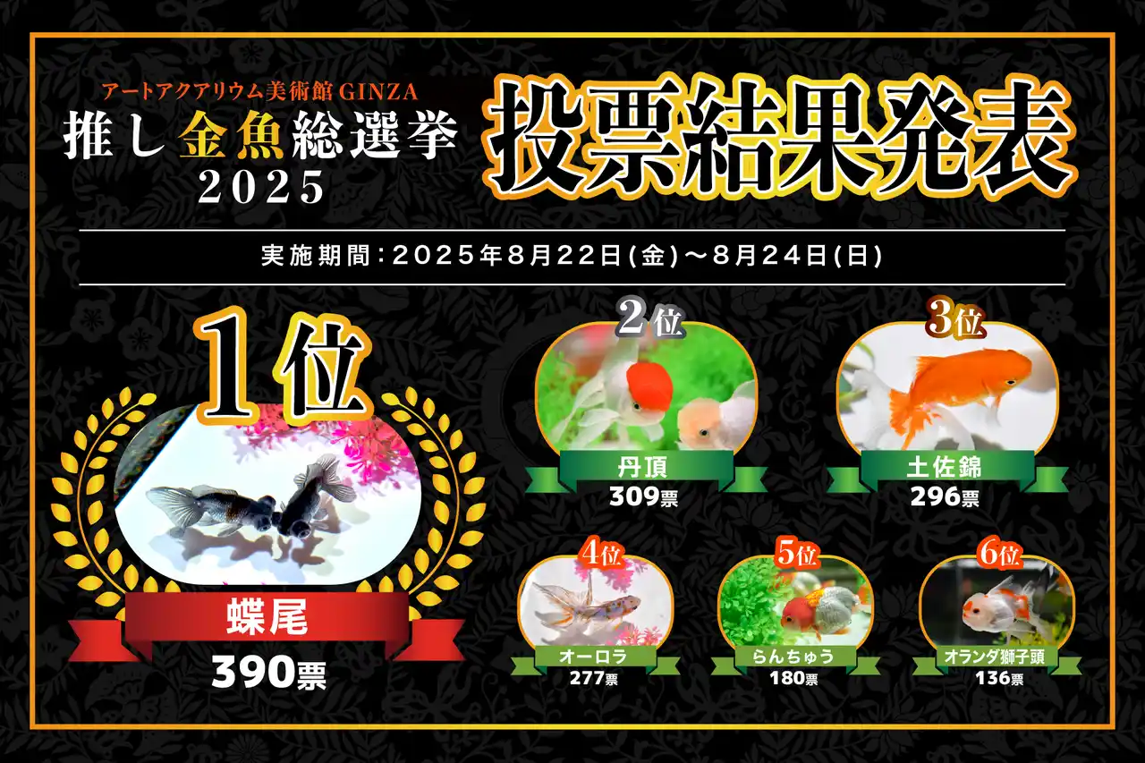 【アートアクアリウム製作委員会】 「推し金魚総選挙2025」結果発表今年の人気No.1金魚は“蝶尾”に決定！