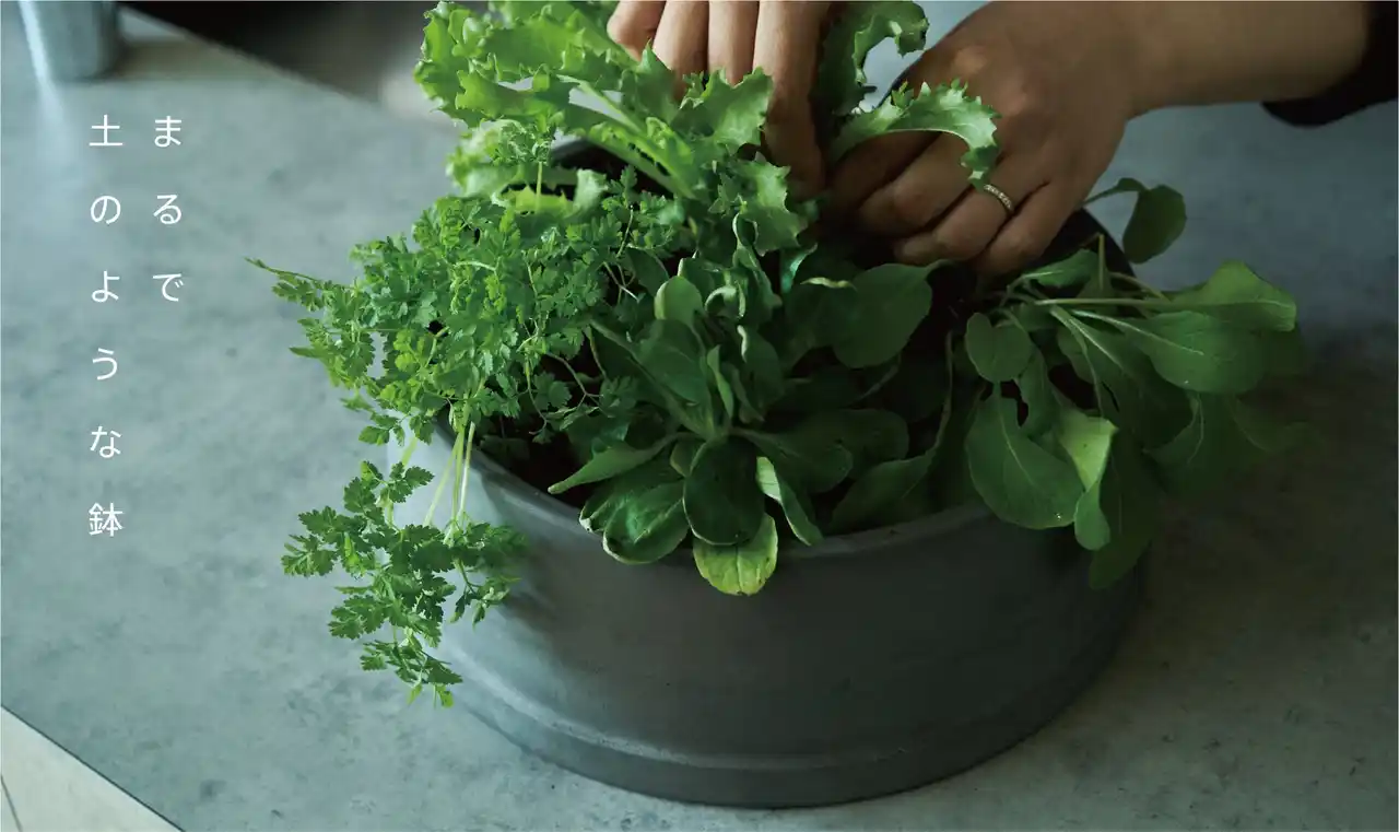 【株式会社アイシン】 工場の廃棄物を活用した、植物の成長を促進する植木鉢で循環型社会に貢献