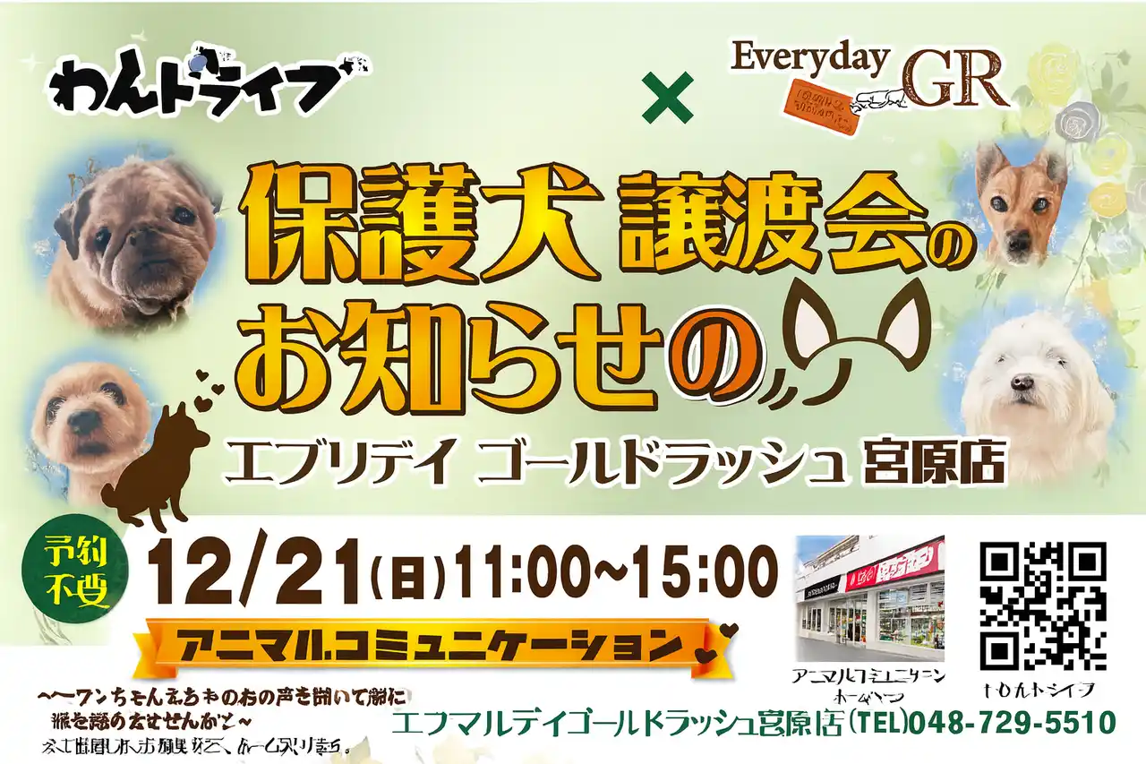 【株式会社東洋】 エブリデイゴールドラッシュ宮原店×わんドライブ　2021年2月から「保護猫譲渡会」を続けてきているエブリデイゴールドラッシュ宮原店が、今回初めて2025年12月21日（日）に「保護犬譲渡会」を開催！！