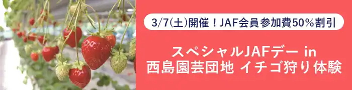 【JAF高知】イチゴ狩りを楽しみませんか？西島園芸団地 イチゴ狩り体験の参加者を募集中