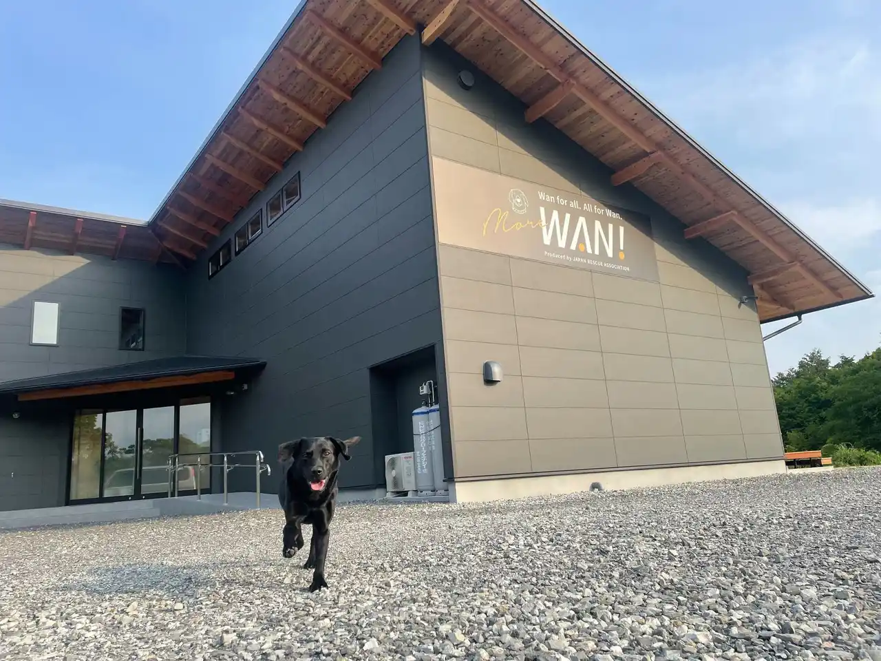 【週末のお出かけに！】愛犬と学べる「MORE WAN交流会」開催 日本レスキュー協会