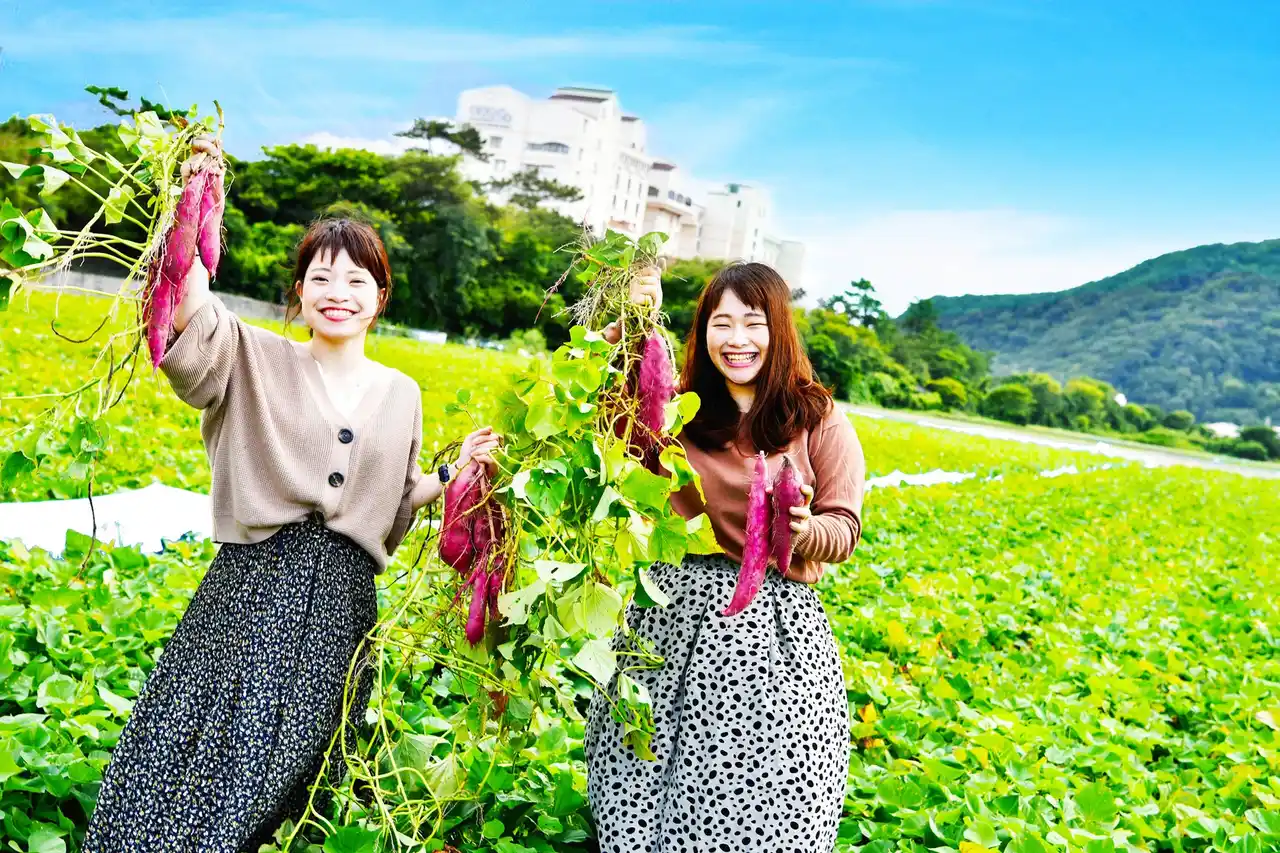 9～11月限定【なると金時いも掘り体験】宿泊プラン☆ご当地グルメ＆自然とふれあいリフレッシュ！ 魅惑のスイーツも♪