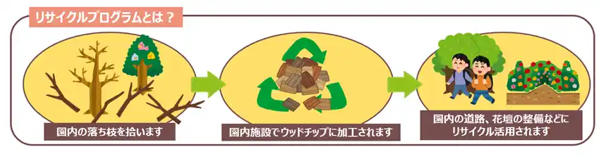 【JFE商事株式会社】 【社会貢献活動】落ち枝拾いで樹木リサイクル！環境活動イベントを開催しました