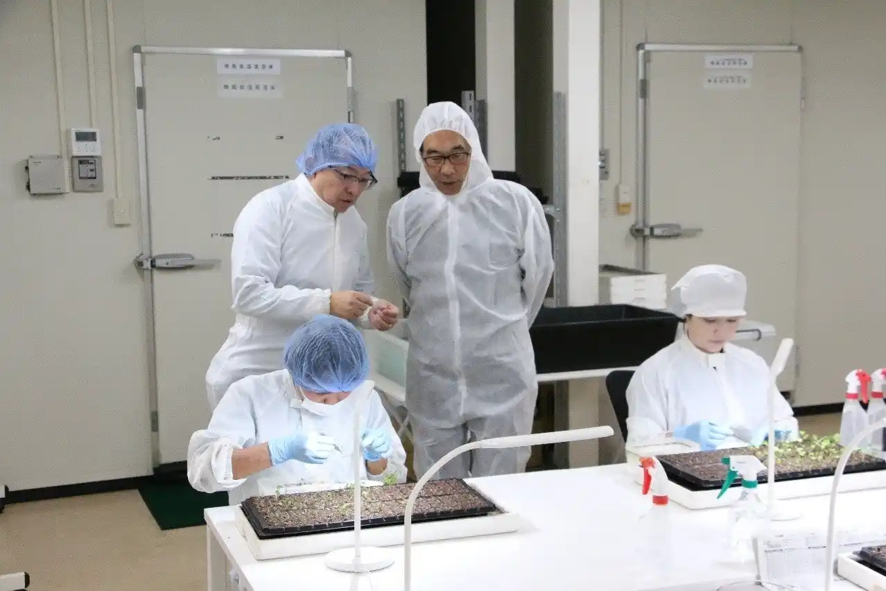 【第一実業株式会社】 埼玉県大野知事が「ふれあい訪問」で第一実業ベリーズファームを訪問